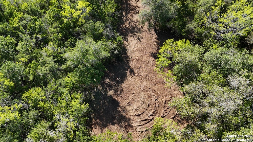 Bee County | 12.19+/- Acres