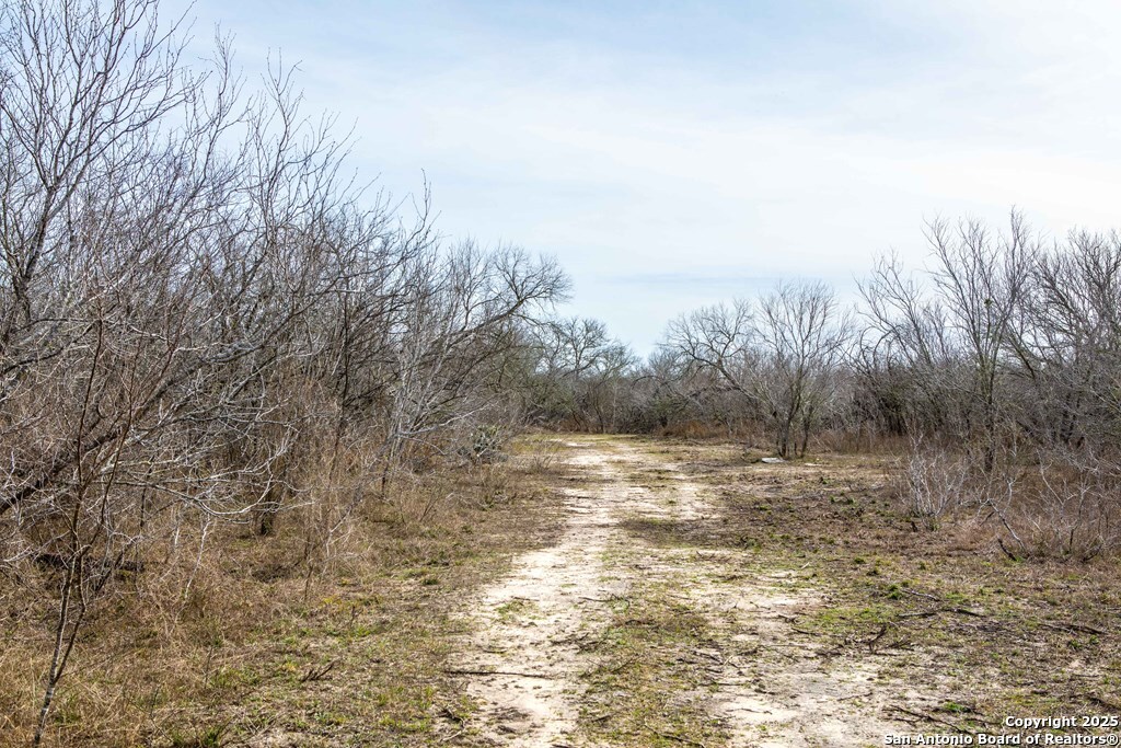 Bee County | 12.19+/- Acres