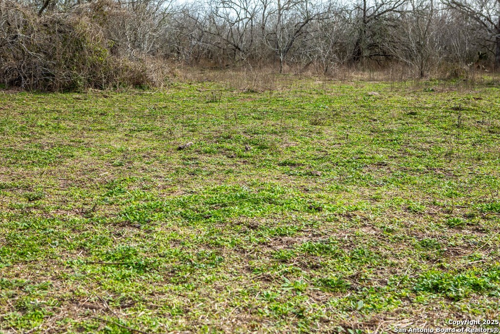 Bee County | 12.19+/- Acres