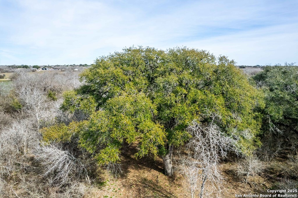 Bee County | 12.19+/- Acres