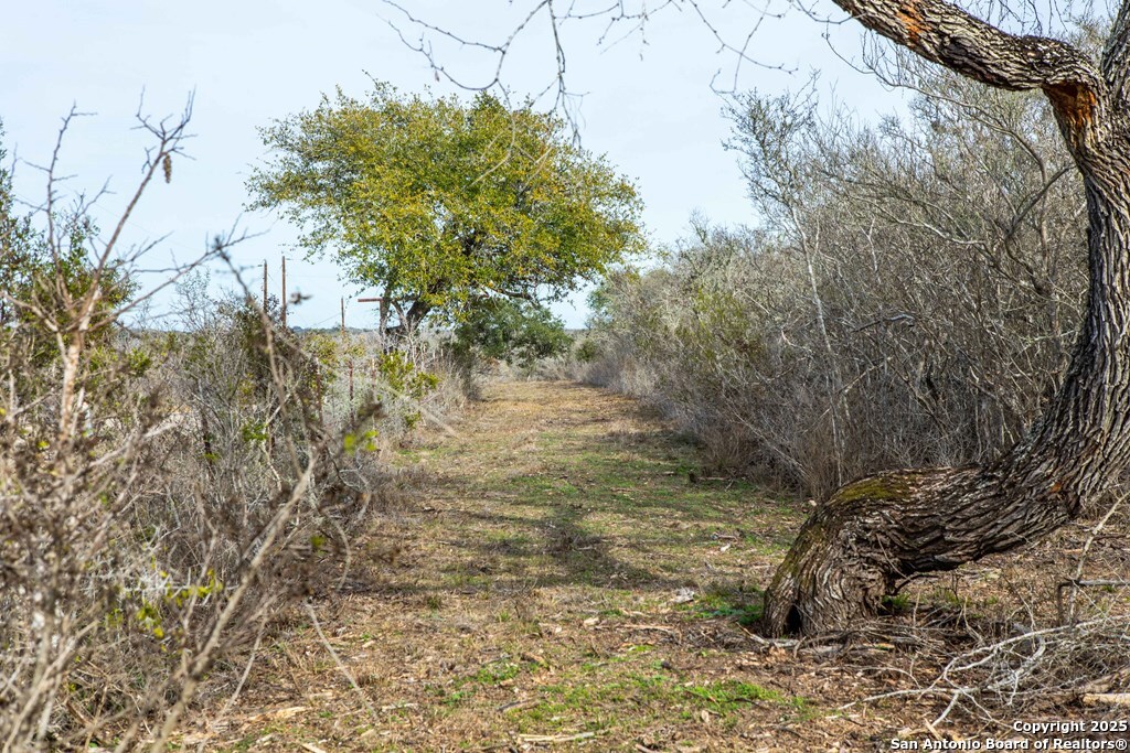 Bee County | 12.19+/- Acres