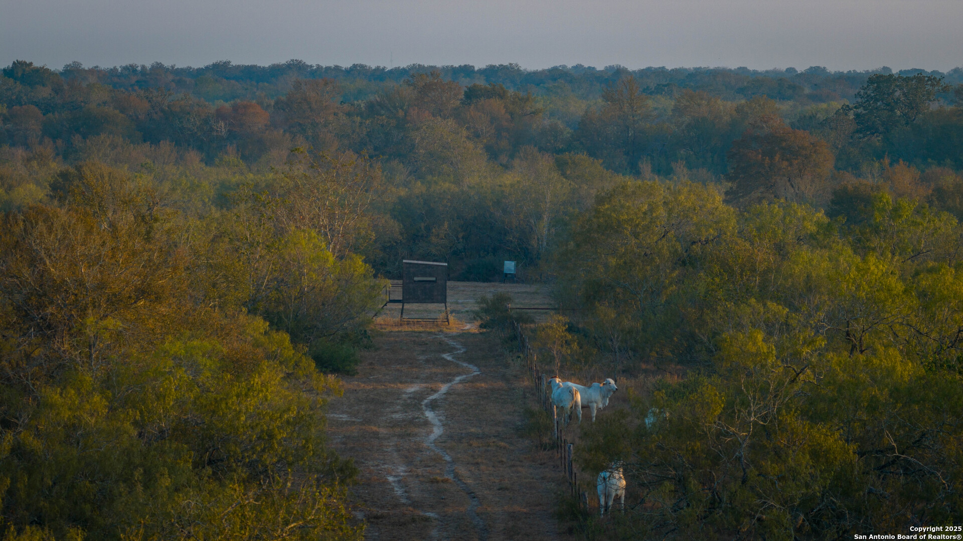 Gonzales County | 314+/- Acres