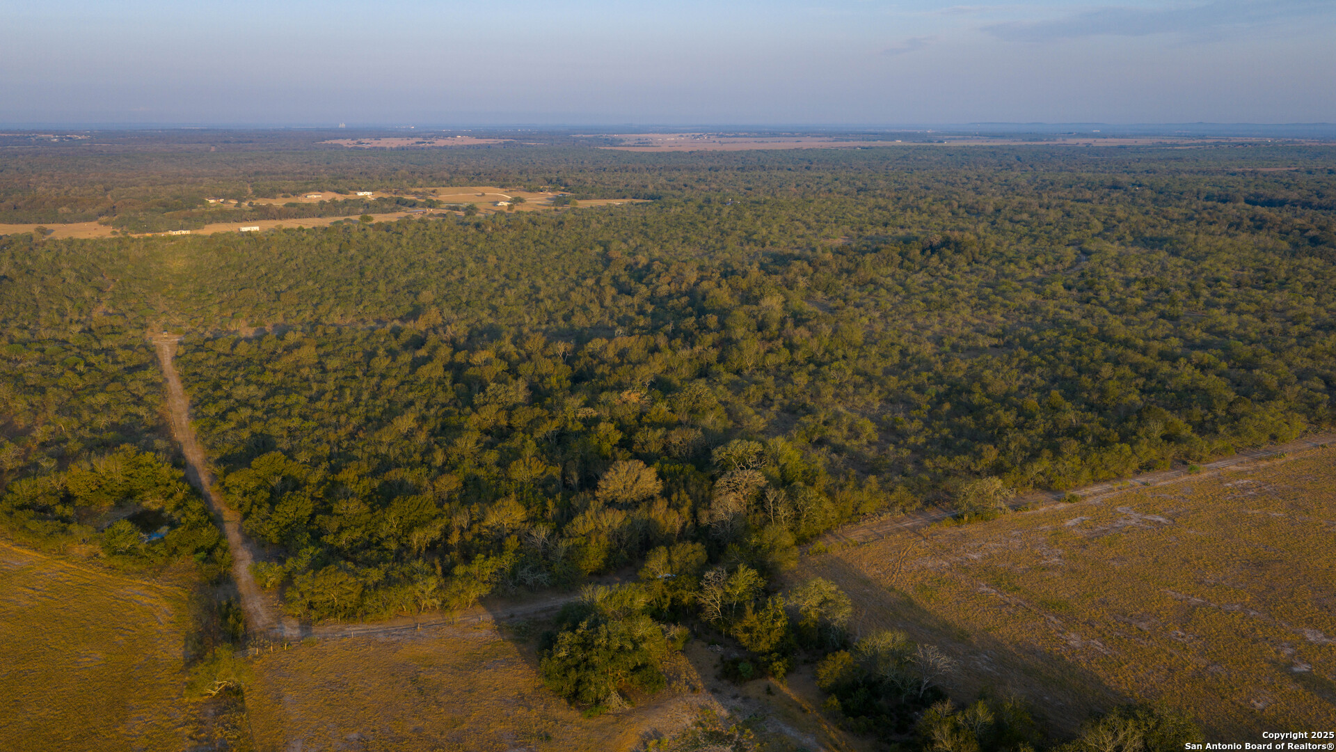 Gonzales County | 314+/- Acres