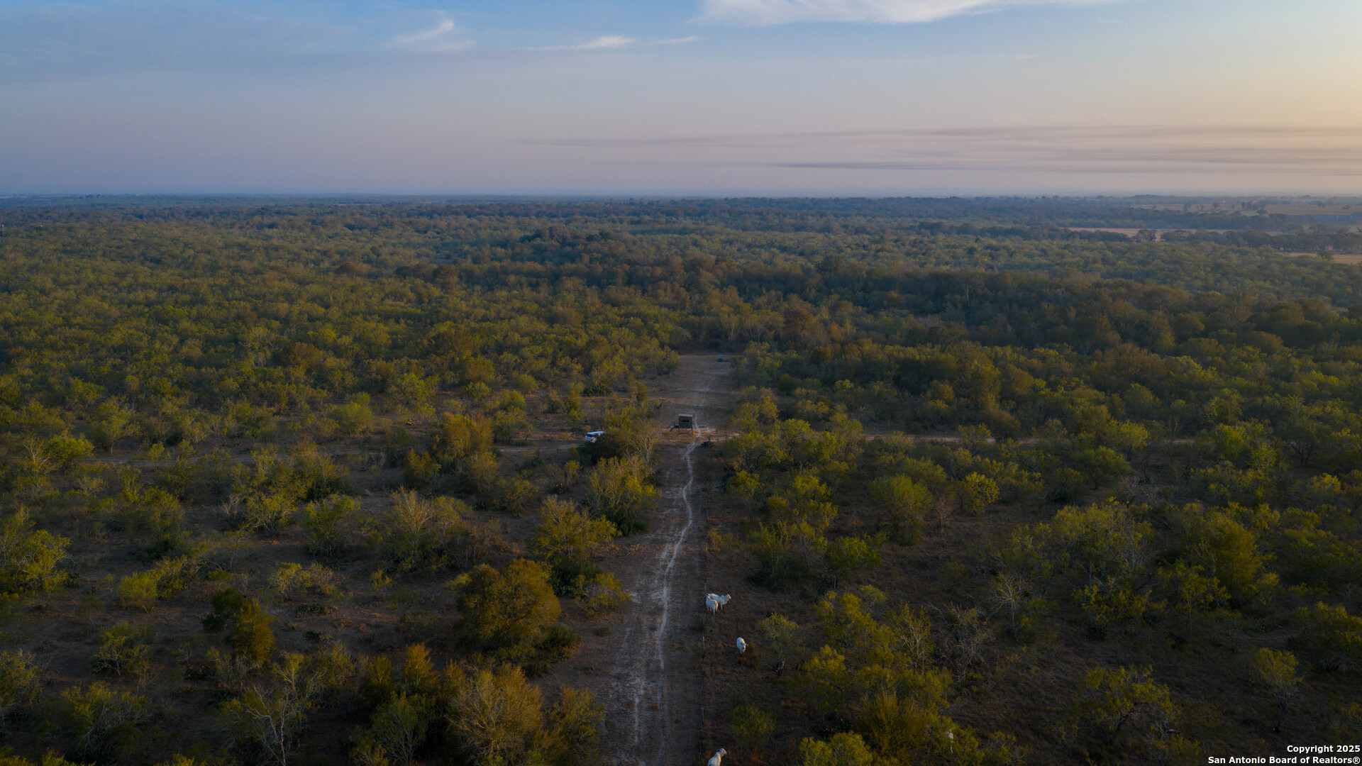 Gonzales County | 314+/- Acres