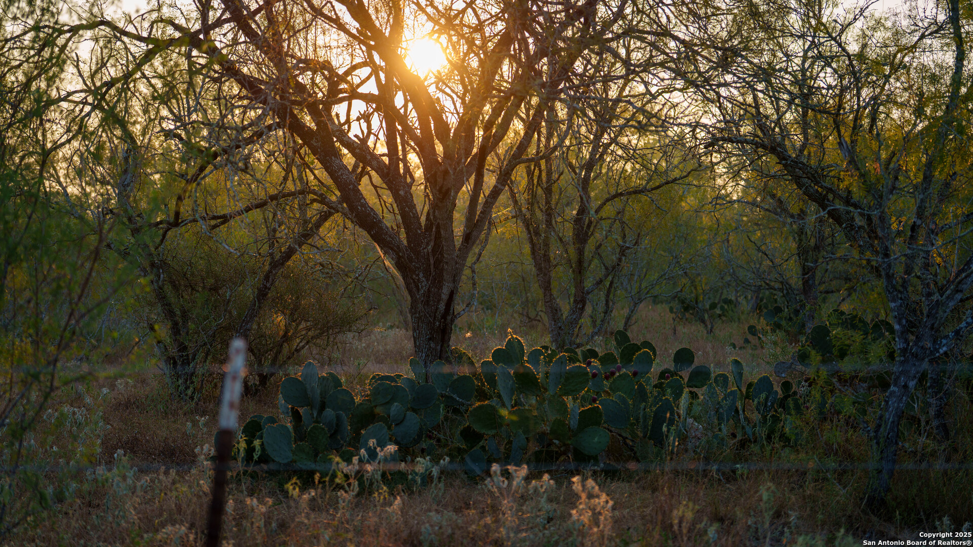 Gonzales County | 314+/- Acres