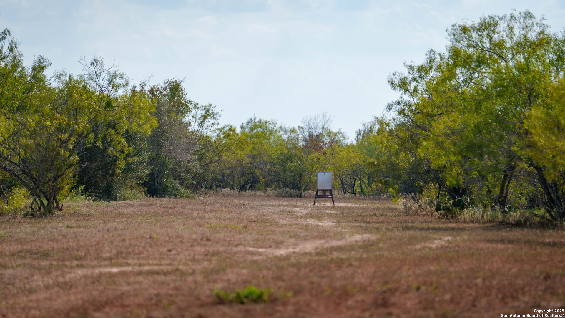 Gonzales County | 314+/- Acres