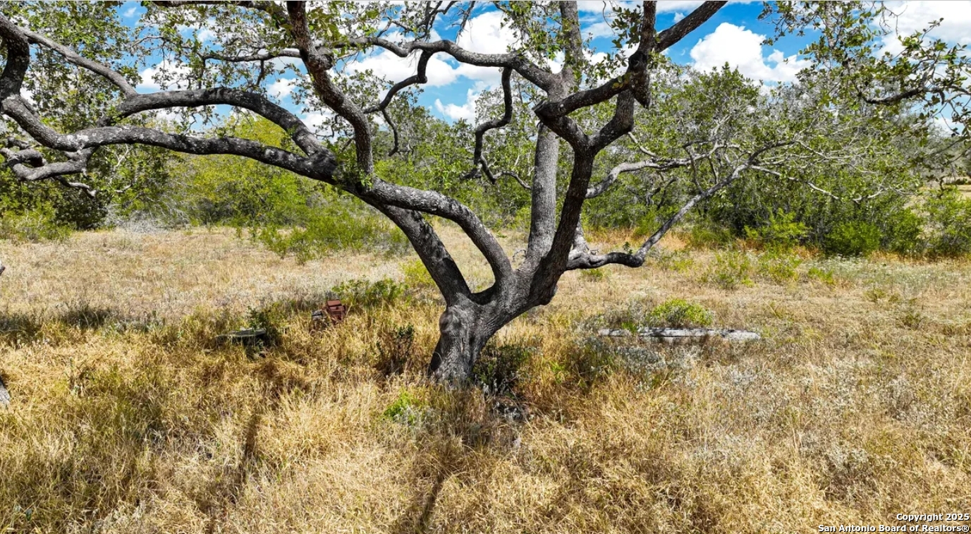 Atascosa County | 5+/- Acres