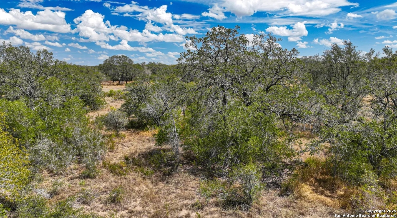 Atascosa County | 5+/- Acres