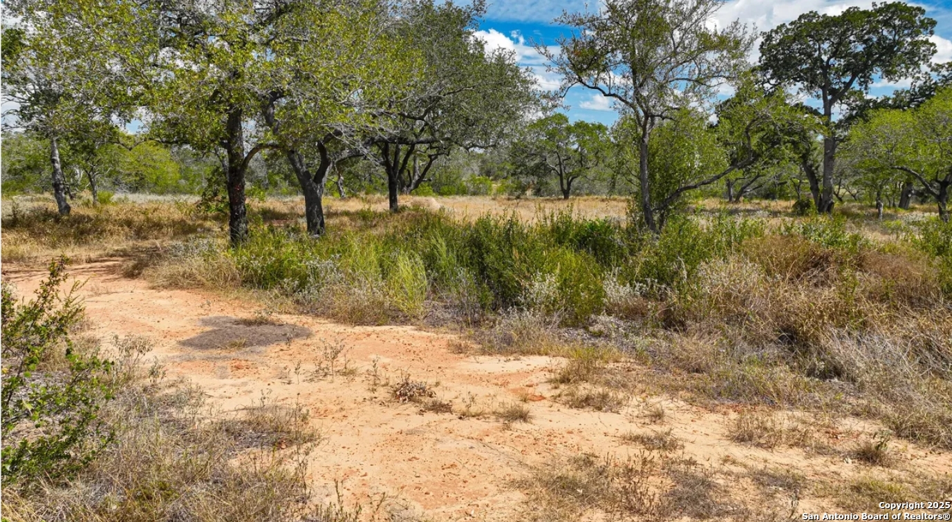 Atascosa County | 5+/- Acres