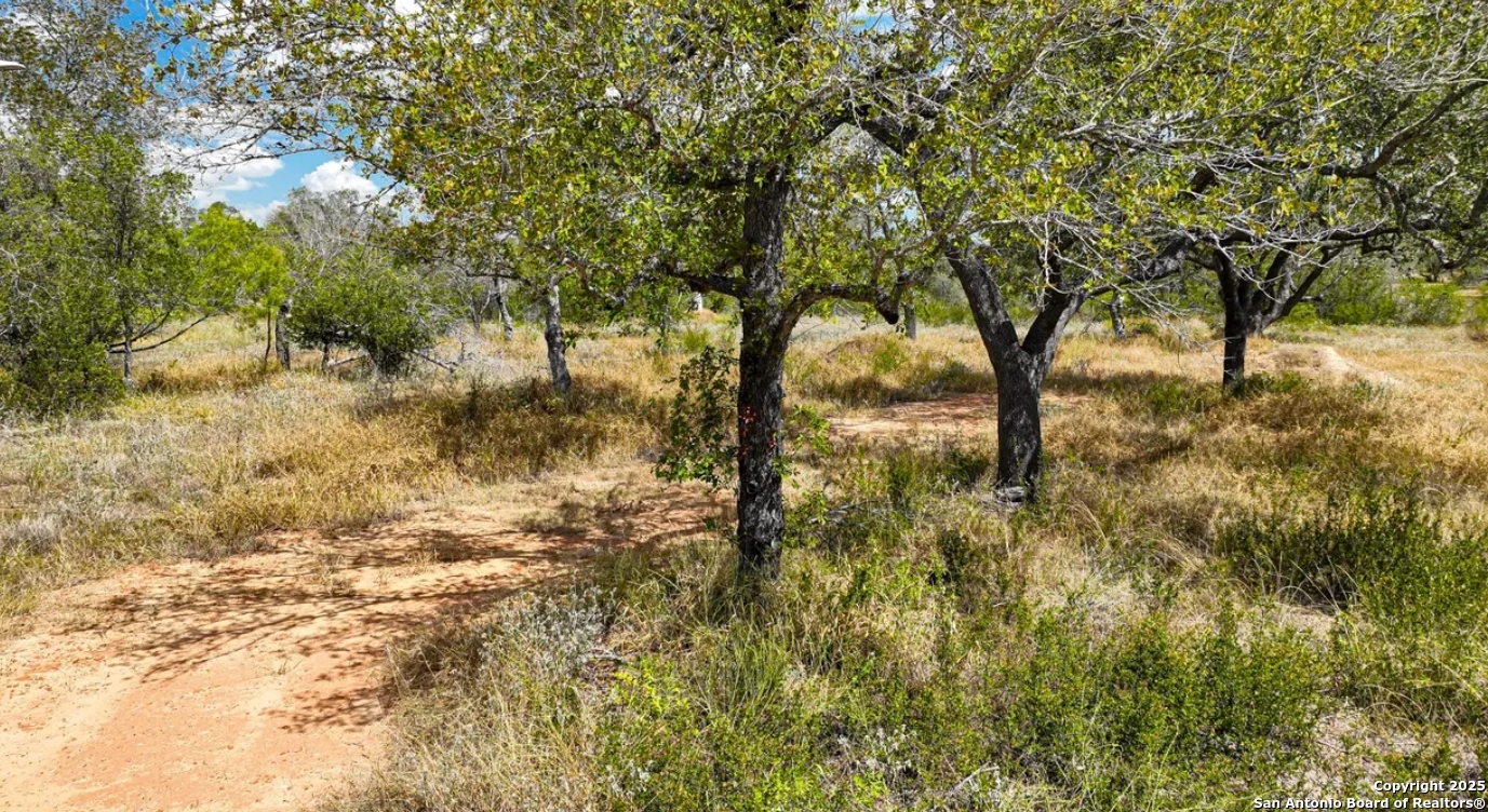 Atascosa County | 5+/- Acres