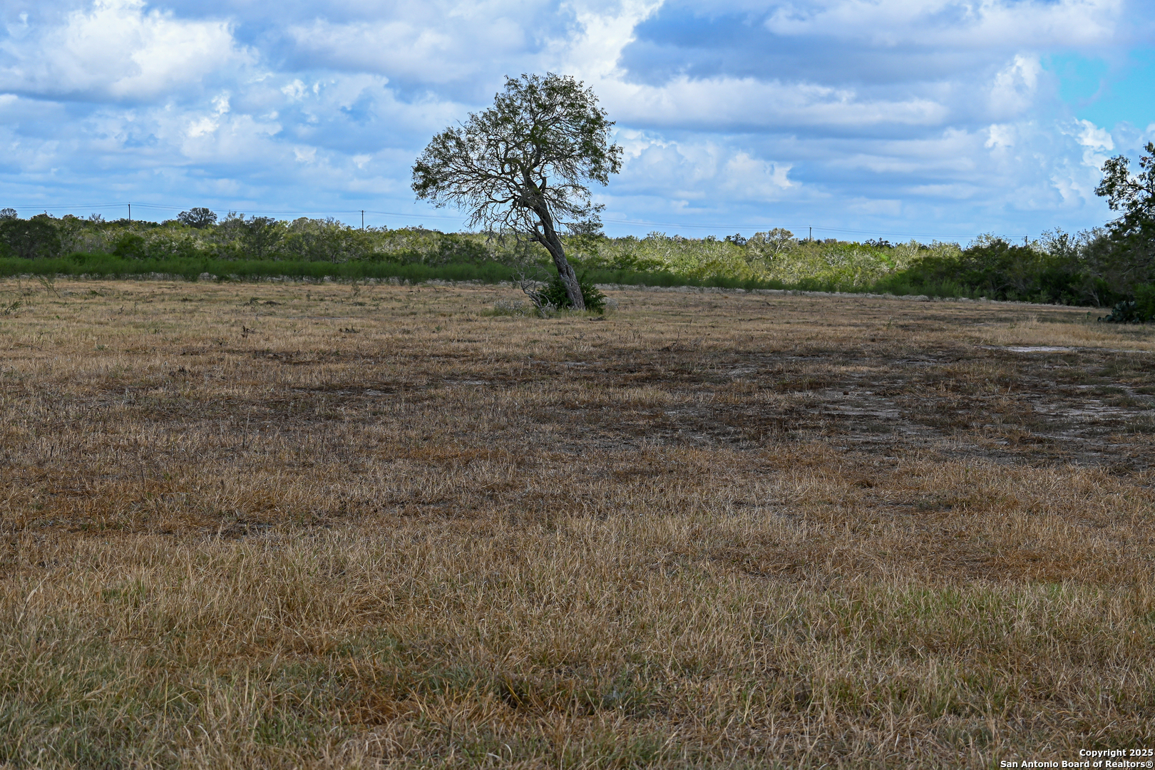 Gonzales County | 236+/- Acres