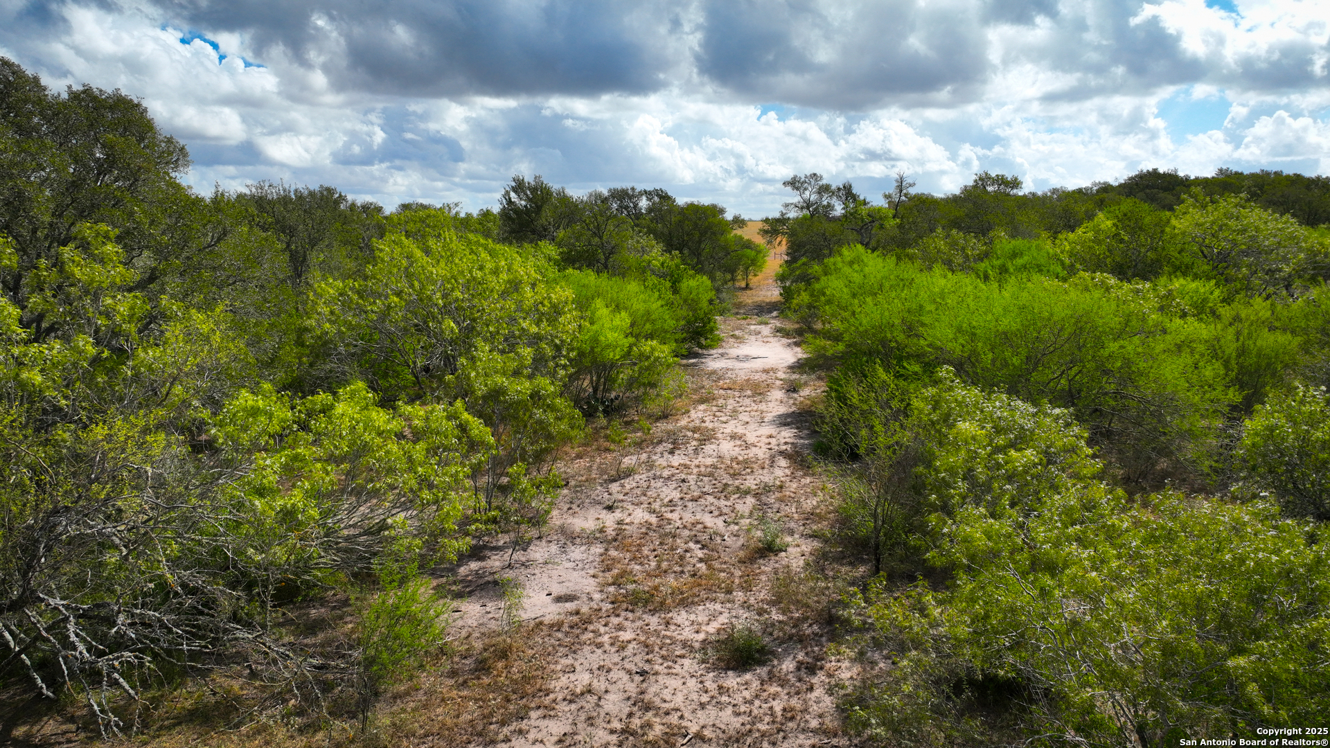 Gonzales County | 236+/- Acres