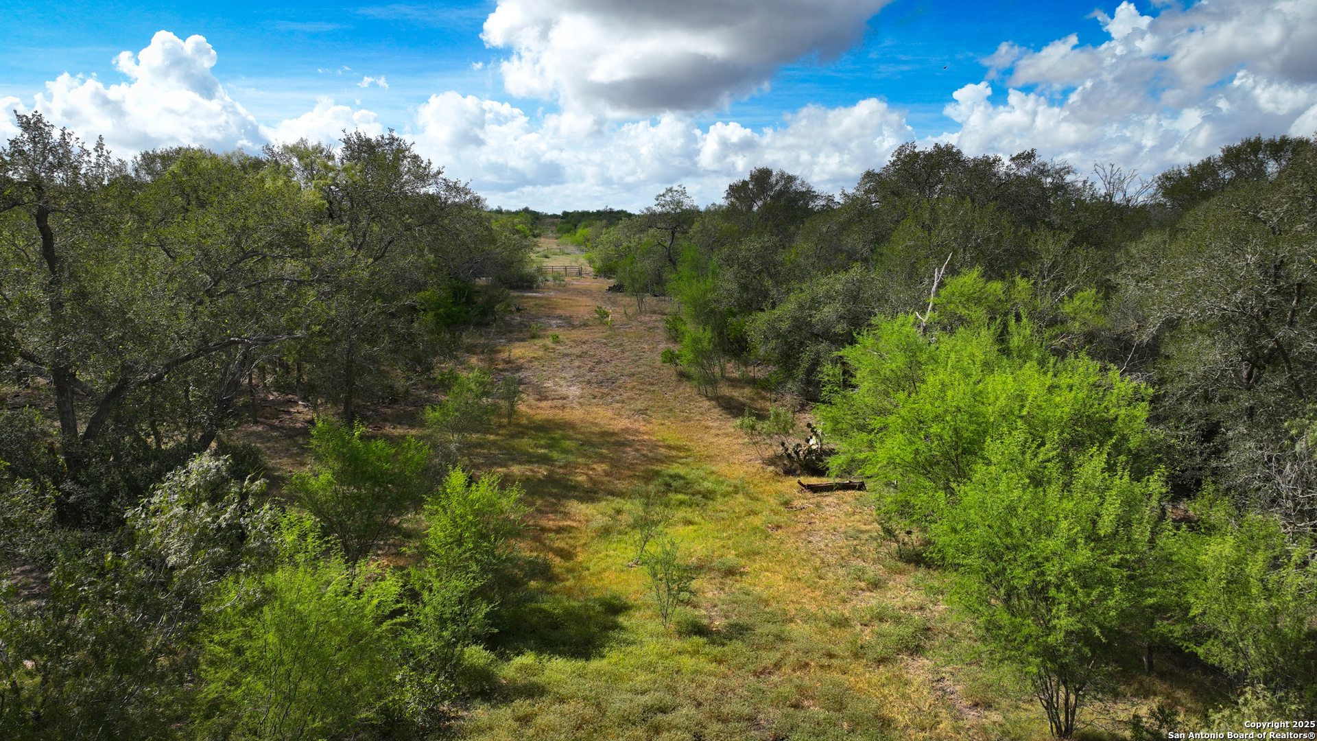 Gonzales County | 236+/- Acres