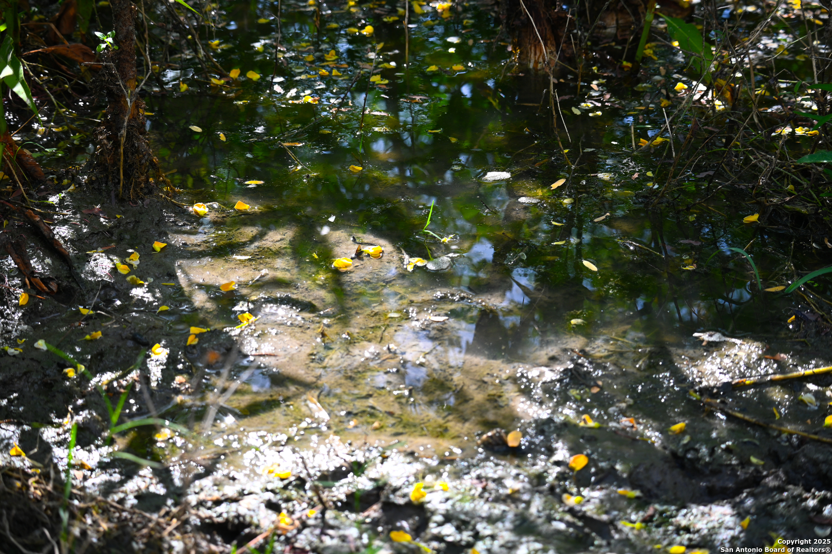 Gonzales County | 236+/- Acres