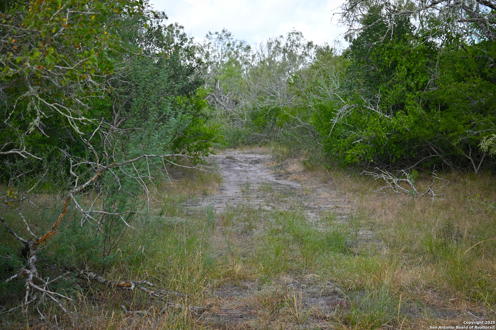 Gonzales County | 236+/- Acres