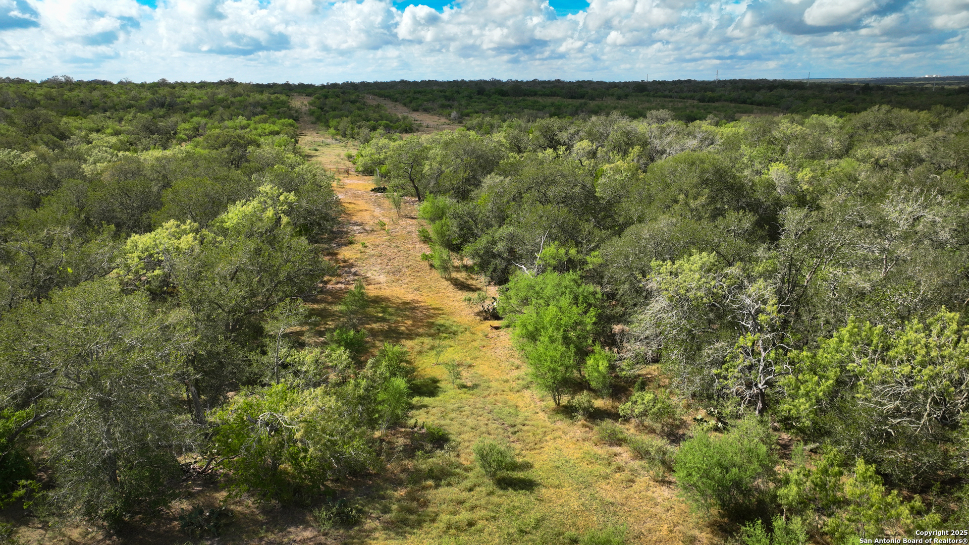 Gonzales County | 236+/- Acres