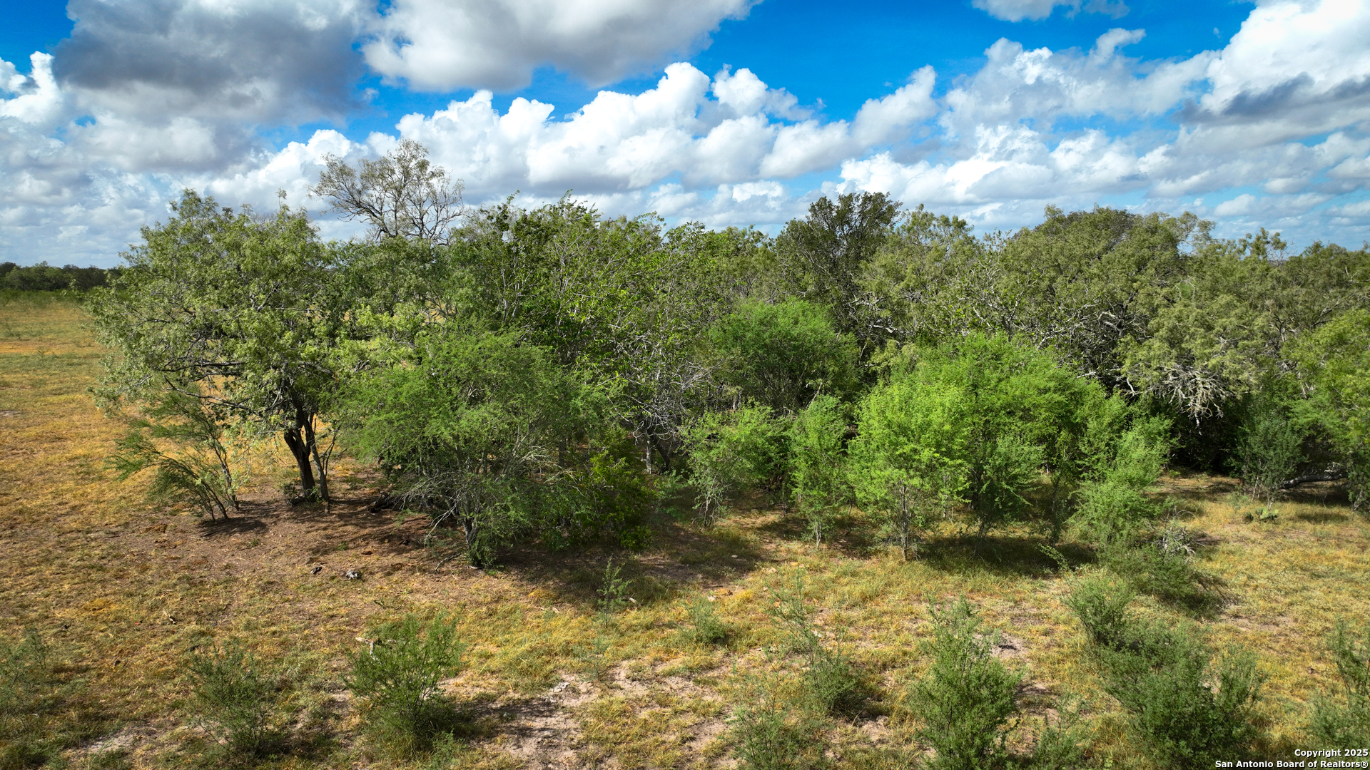 Gonzales County | 236+/- Acres