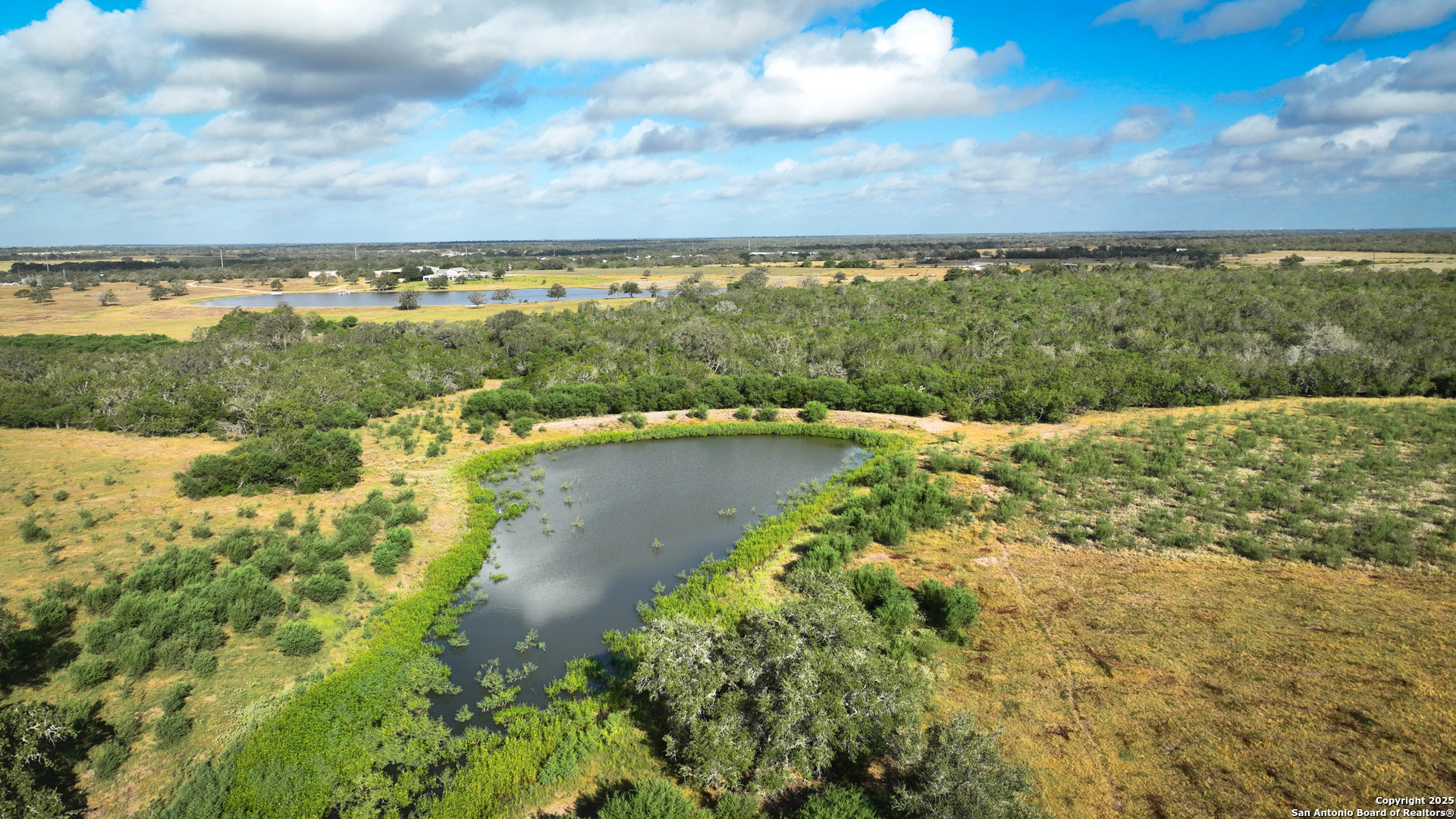 Gonzales County | 236+/- Acres