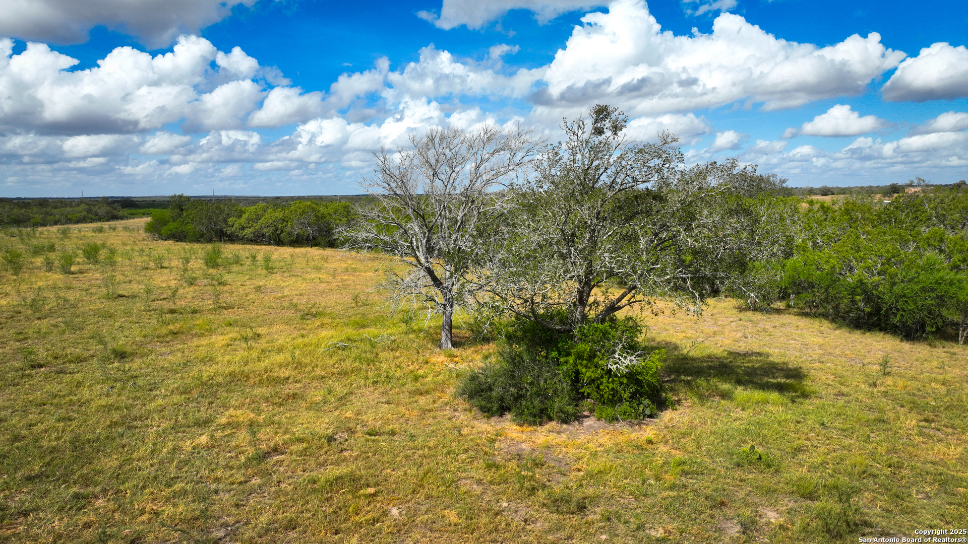 Gonzales County | 236+/- Acres