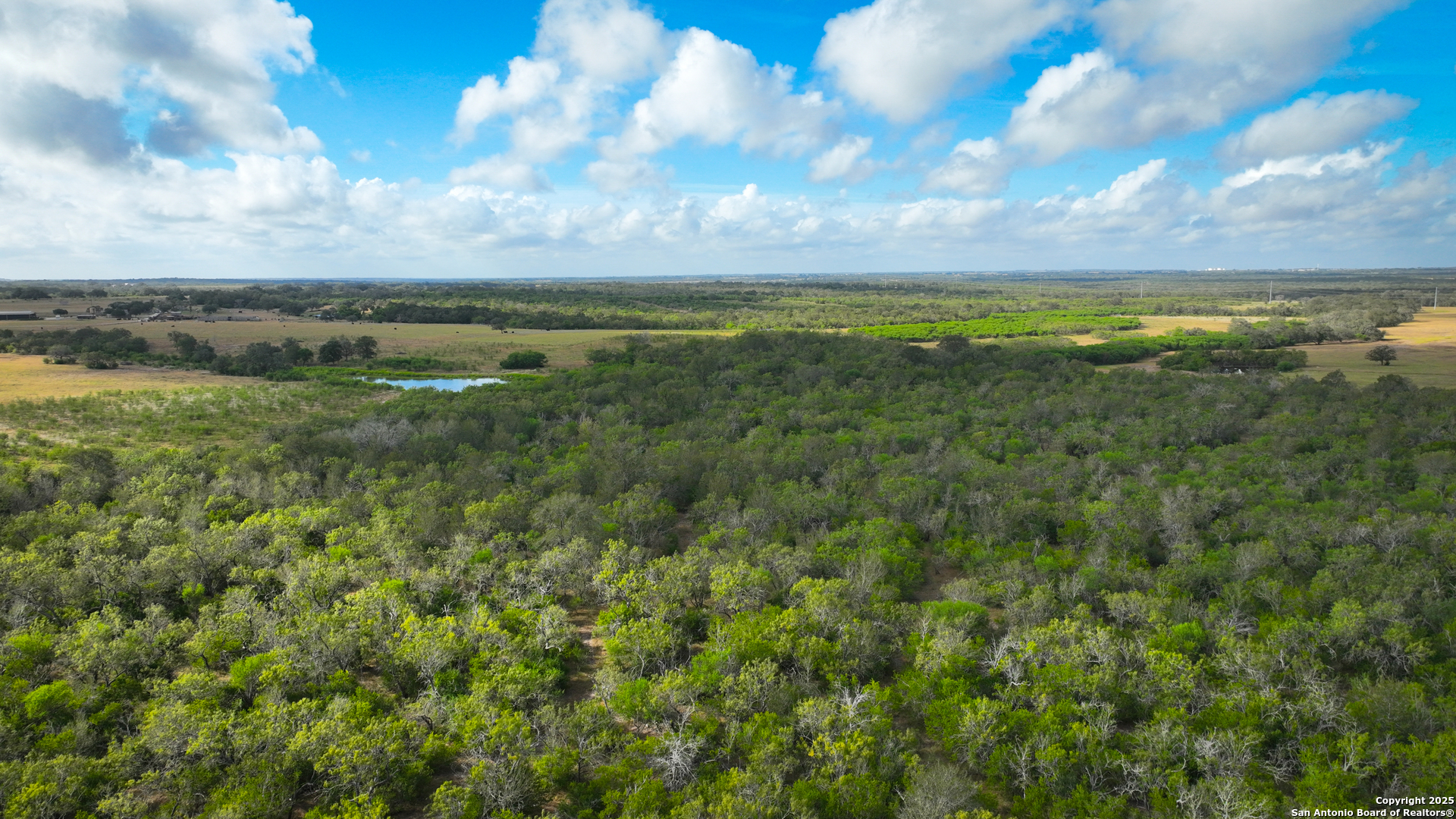 Gonzales County | 236+/- Acres