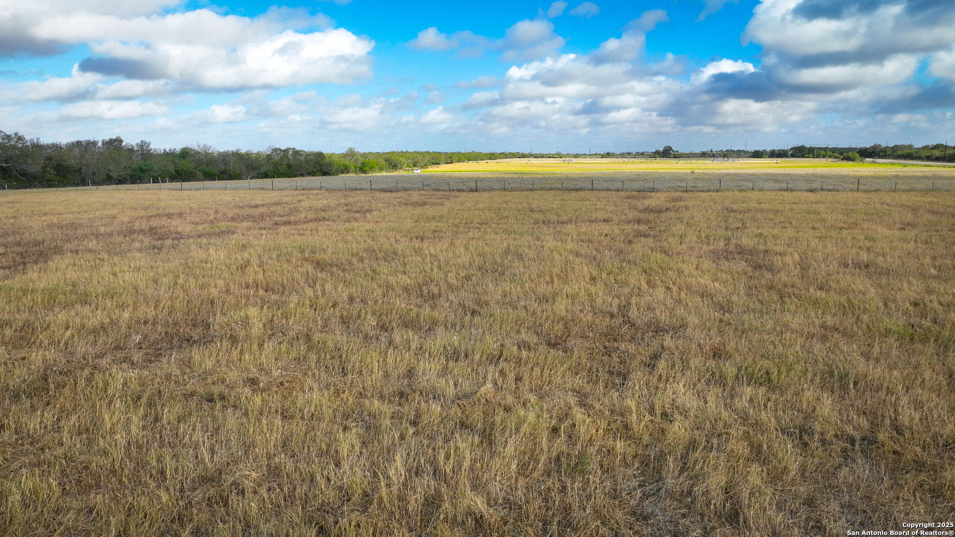 Gonzales County | 236+/- Acres