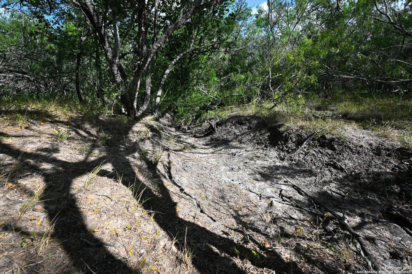 Gonzales County | 236+/- Acres