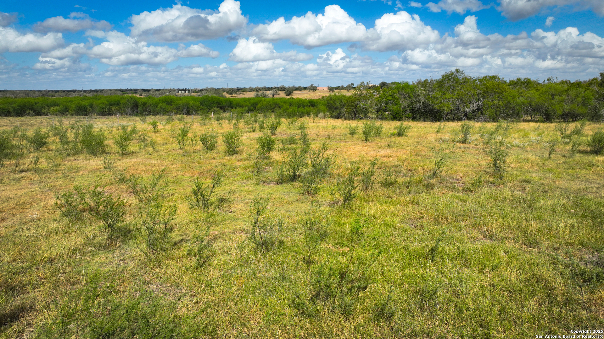 Gonzales County | 236+/- Acres