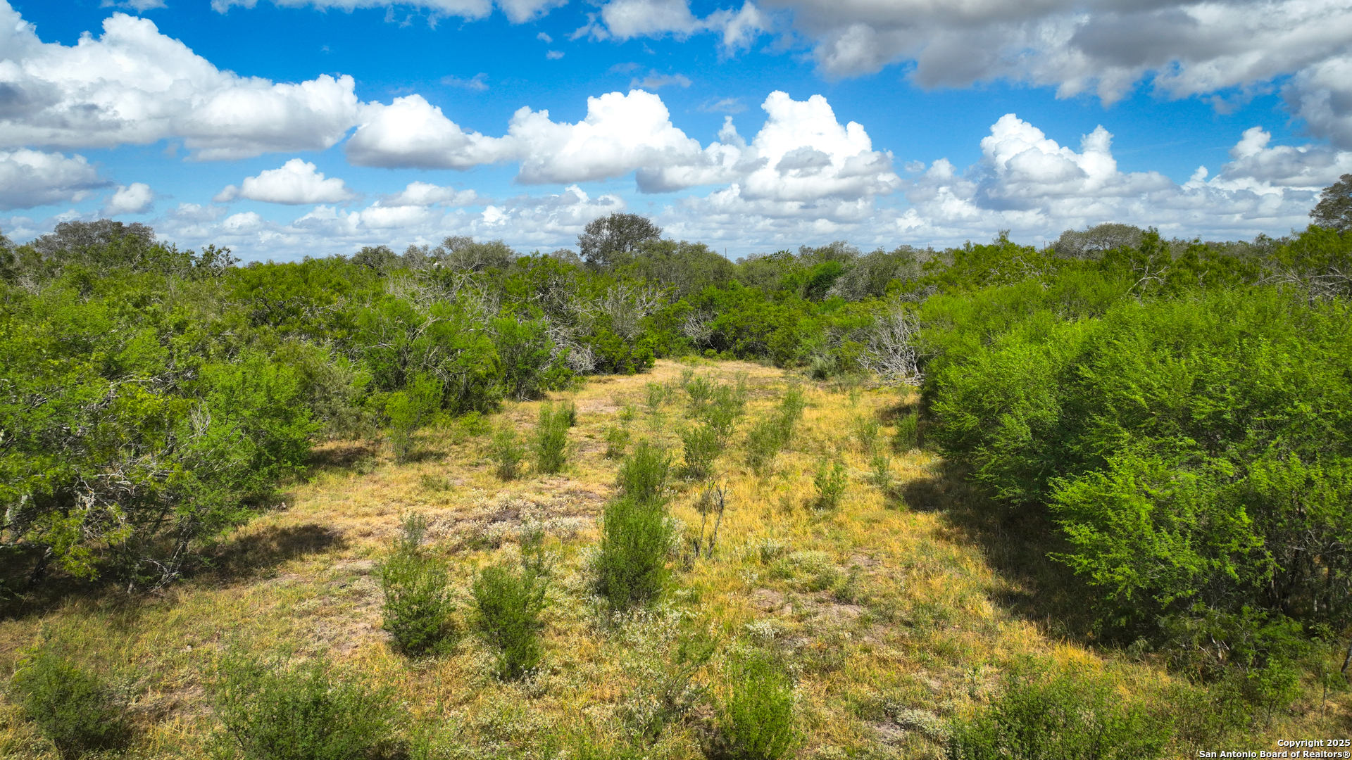 Gonzales County | 236+/- Acres