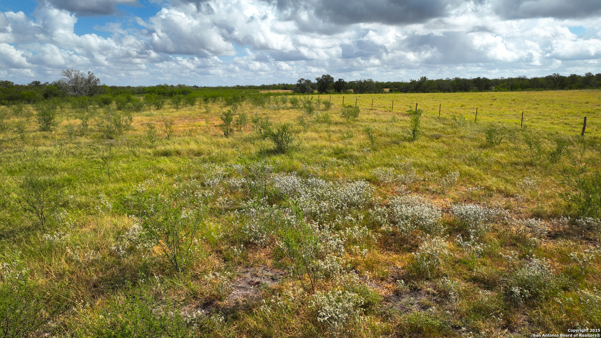 Gonzales County | 236+/- Acres