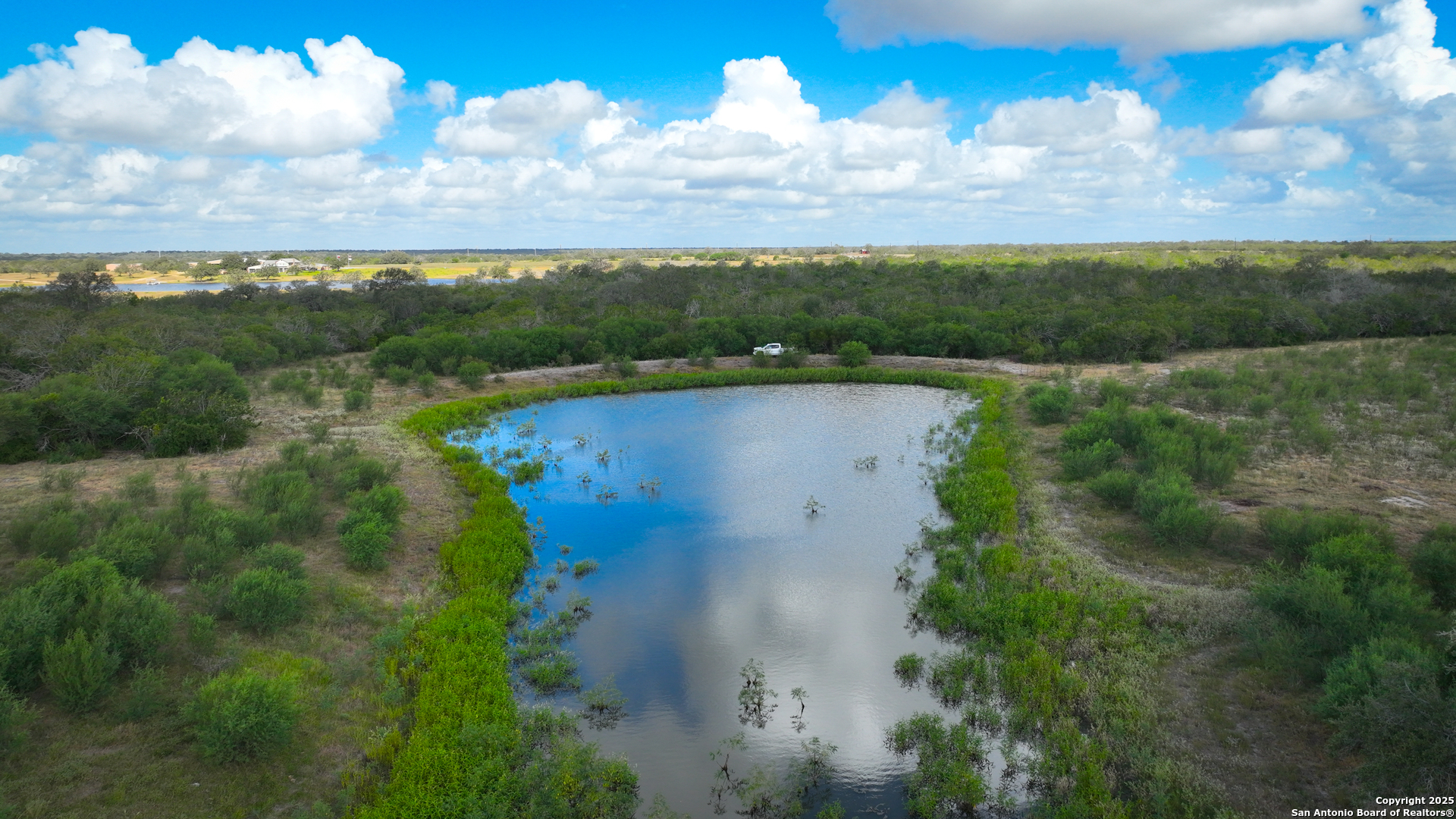 Gonzales County | 236+/- Acres