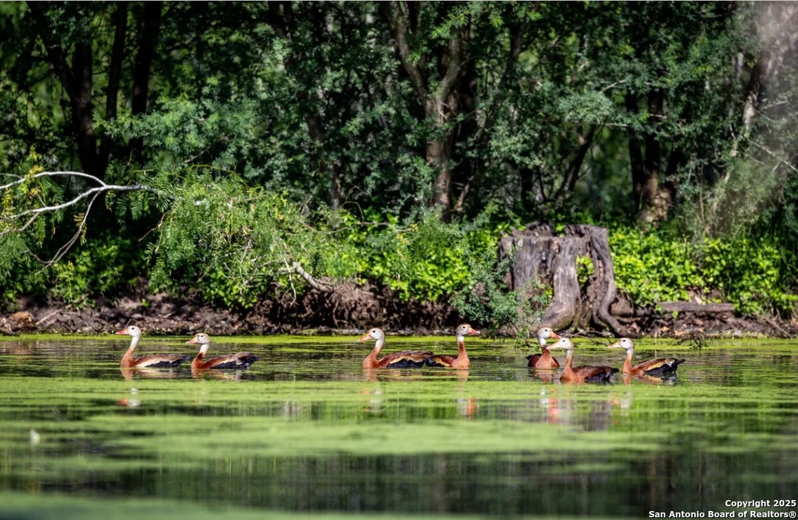 000 County Line Rd # 120