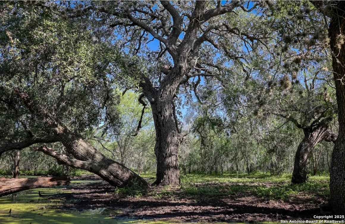 000 County Line Rd # 120