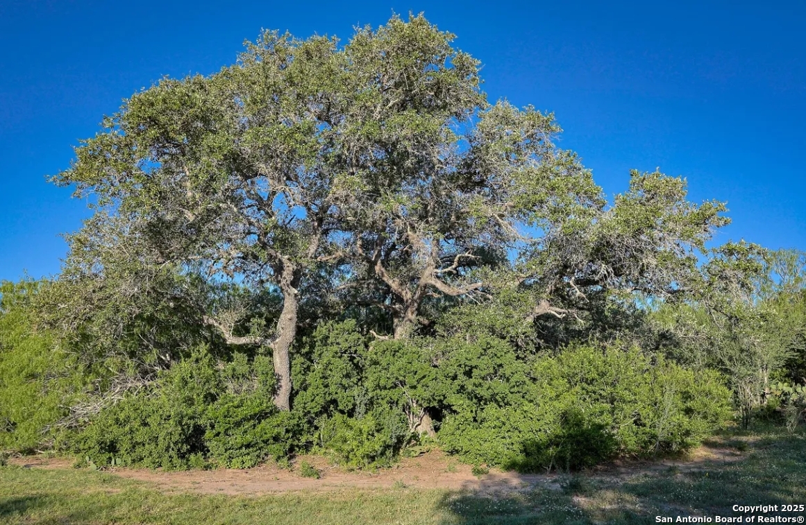 000 County Line Rd # 120