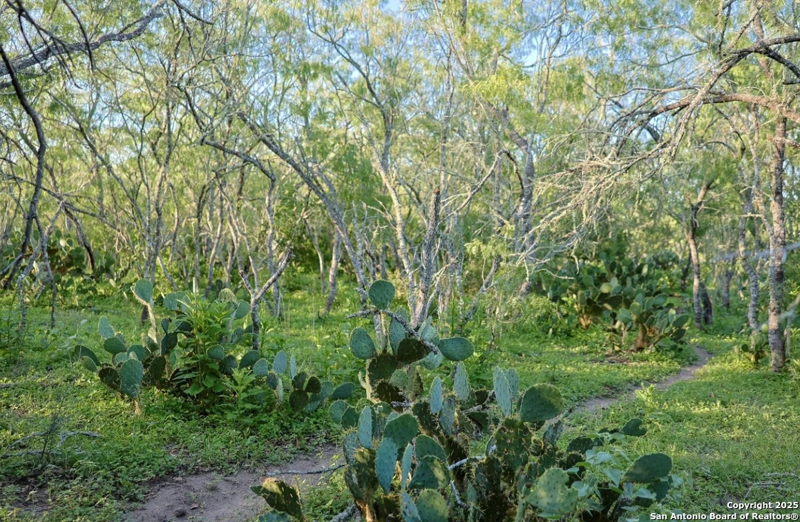 000 County Line Rd # 120