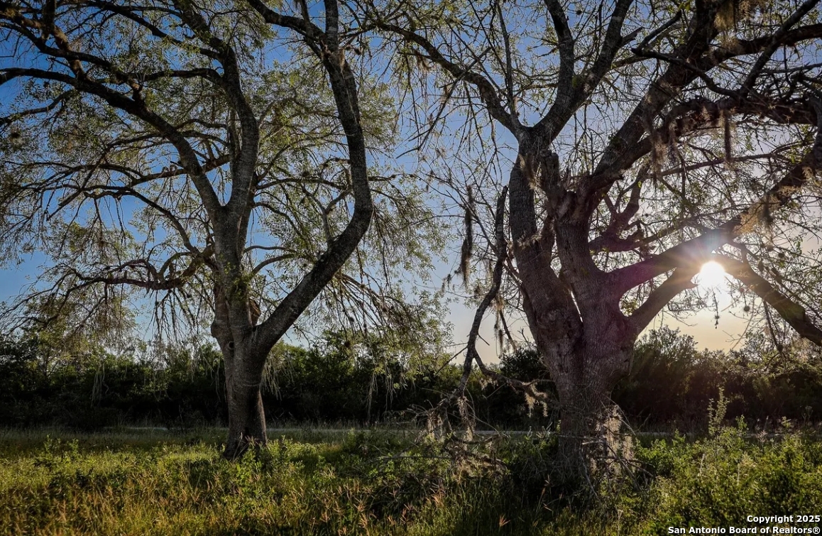 000 County Line Rd # 120