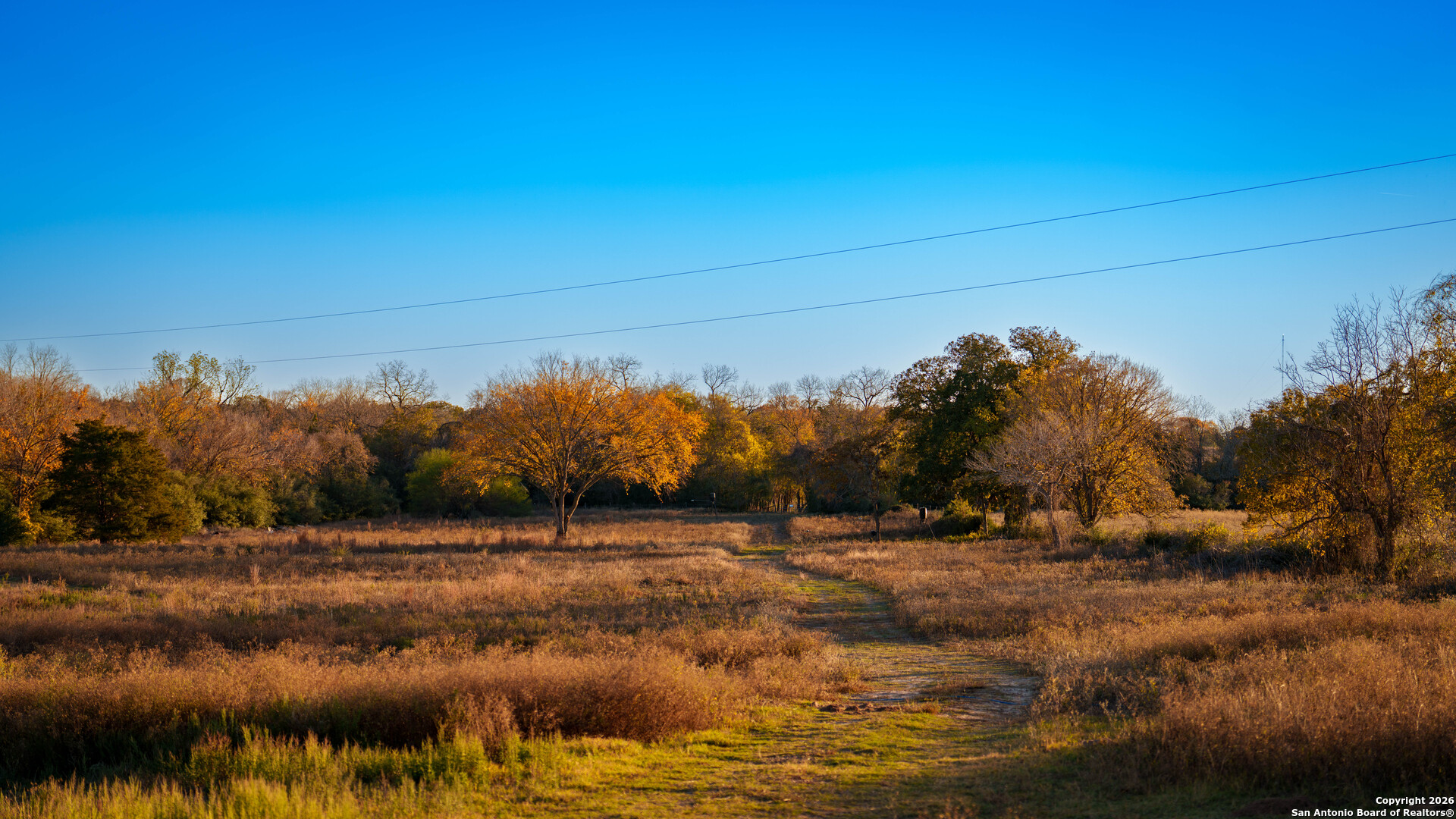 163 County Road 283