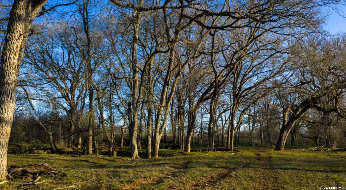 Guadalupe County | 312+/- Acres