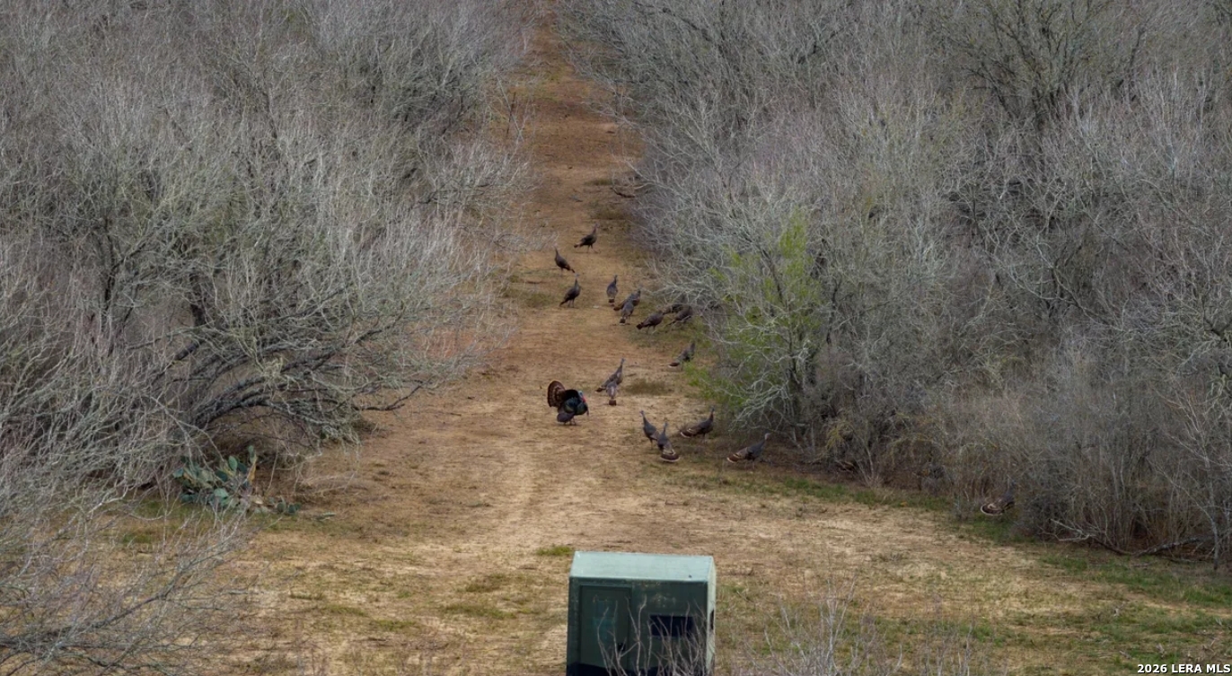 Guadalupe County | 312+/- Acres
