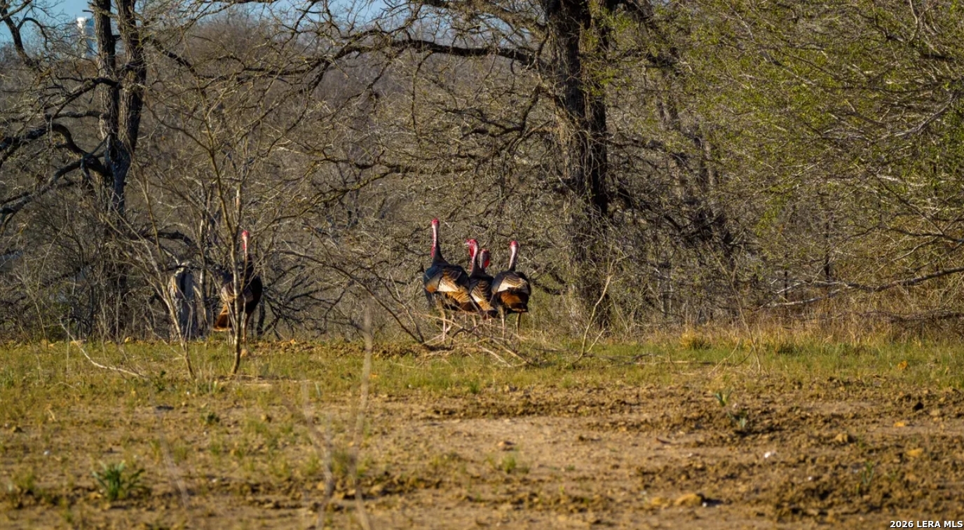 Guadalupe County | 312+/- Acres