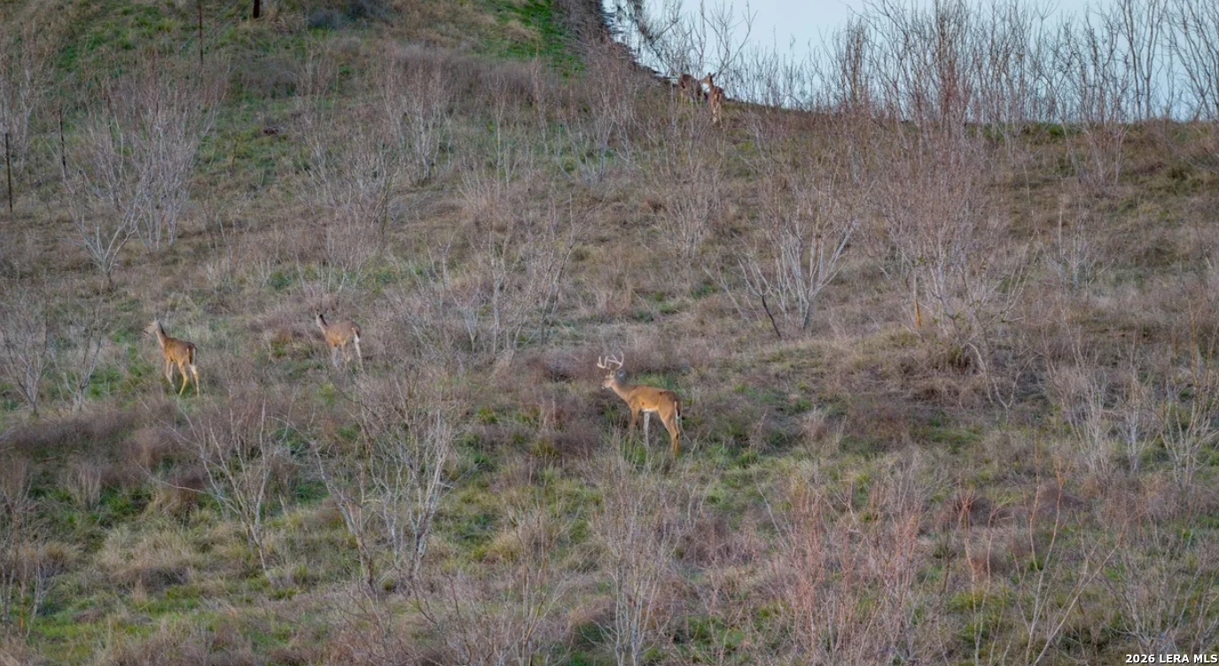 Guadalupe County | 312+/- Acres