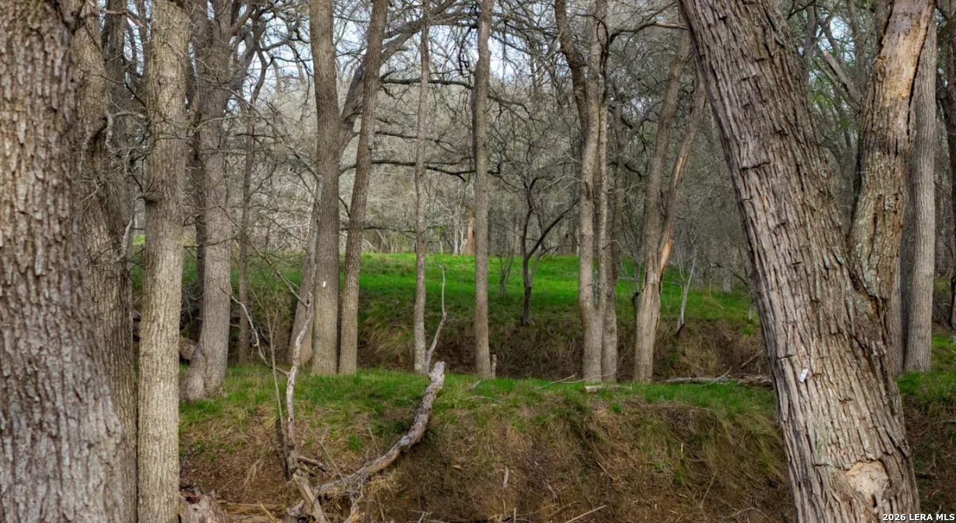 Guadalupe County | 312+/- Acres