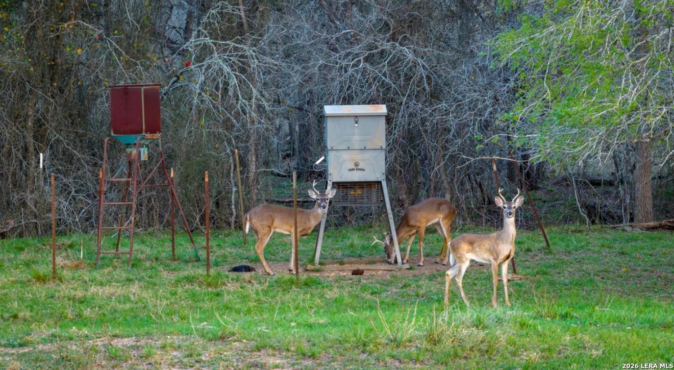 Guadalupe County | 312+/- Acres