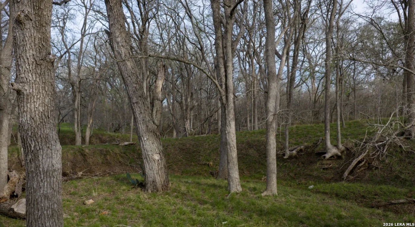 Guadalupe County | 312+/- Acres