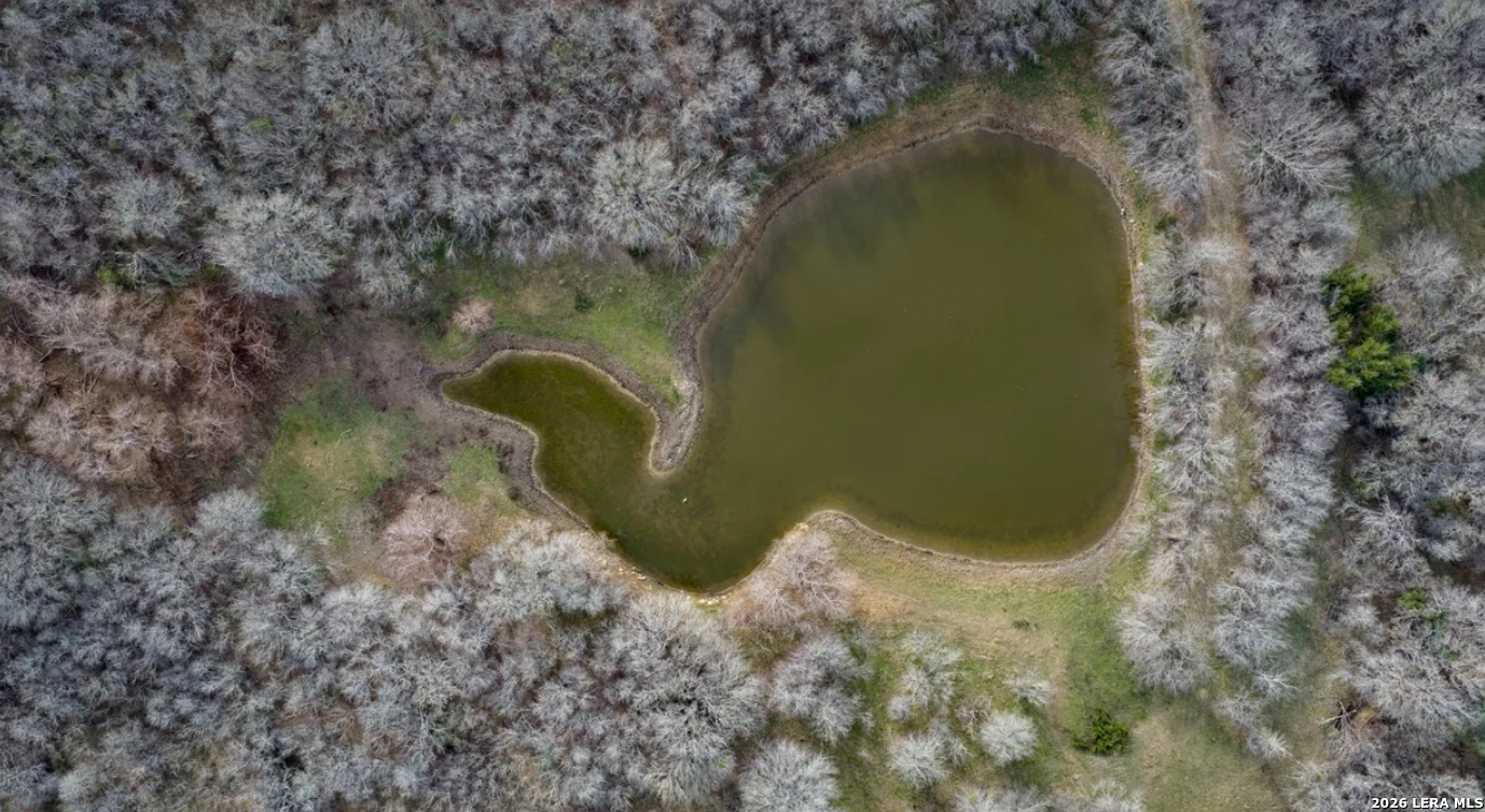 Guadalupe County | 312+/- Acres