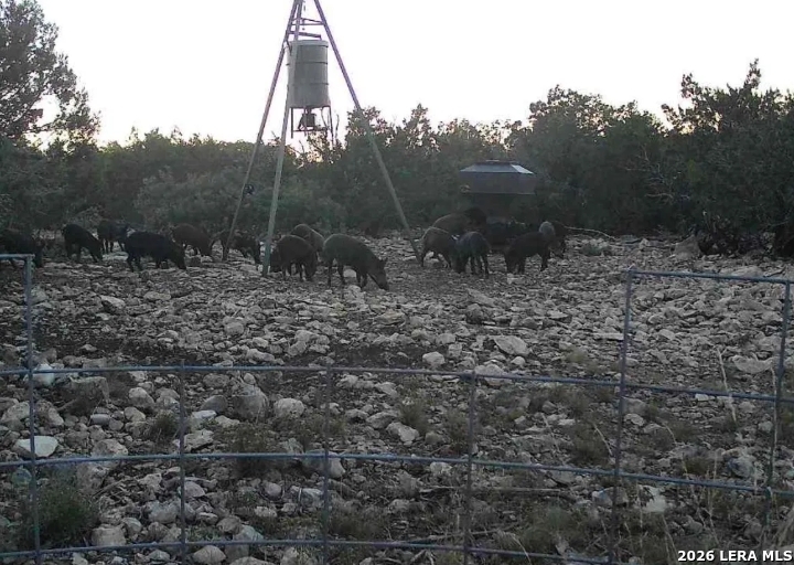 Edwards County | 100+/- Acres
