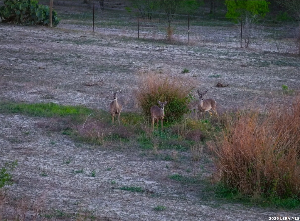 Wilson County | 200+/- Acres