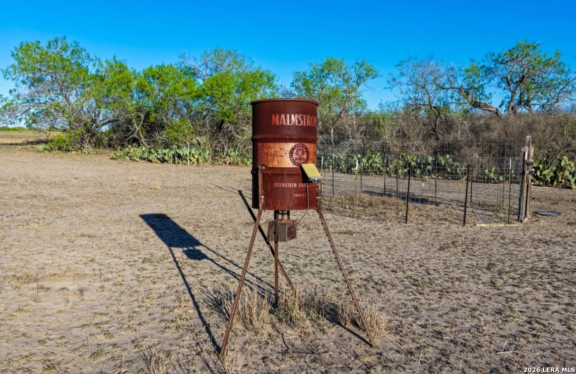 Wilson County | 200+/- Acres
