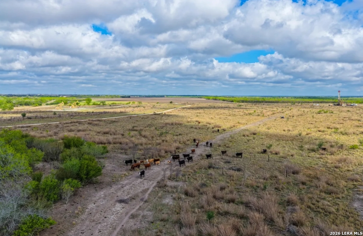 Wilson County | 200+/- Acres