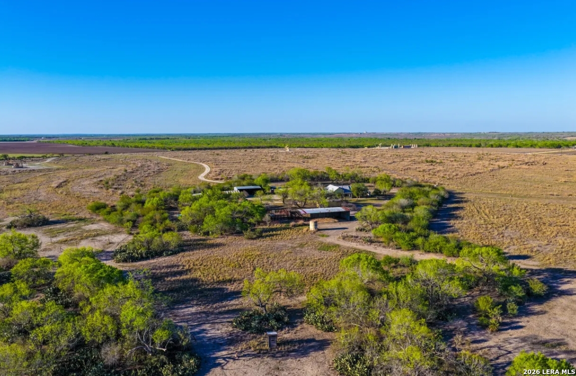 Wilson County | 200+/- Acres