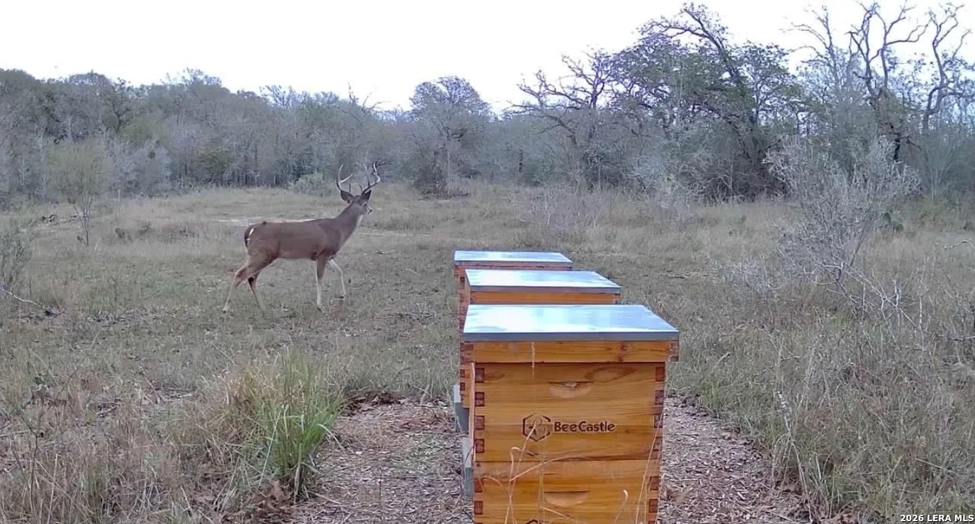 Gonzales County | 20+/- Acres